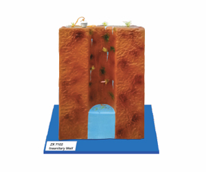 BioLab Products